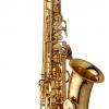 SAXOPHONE ALTO - LAITON VERNI