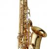 SAXOPHONE ALTO - LAITON BRUT