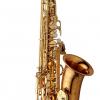 SAXOPHONE ALTO - BRONZE VERNI