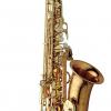 SAXOPHONE ALTO - BRONZE NON VERNI